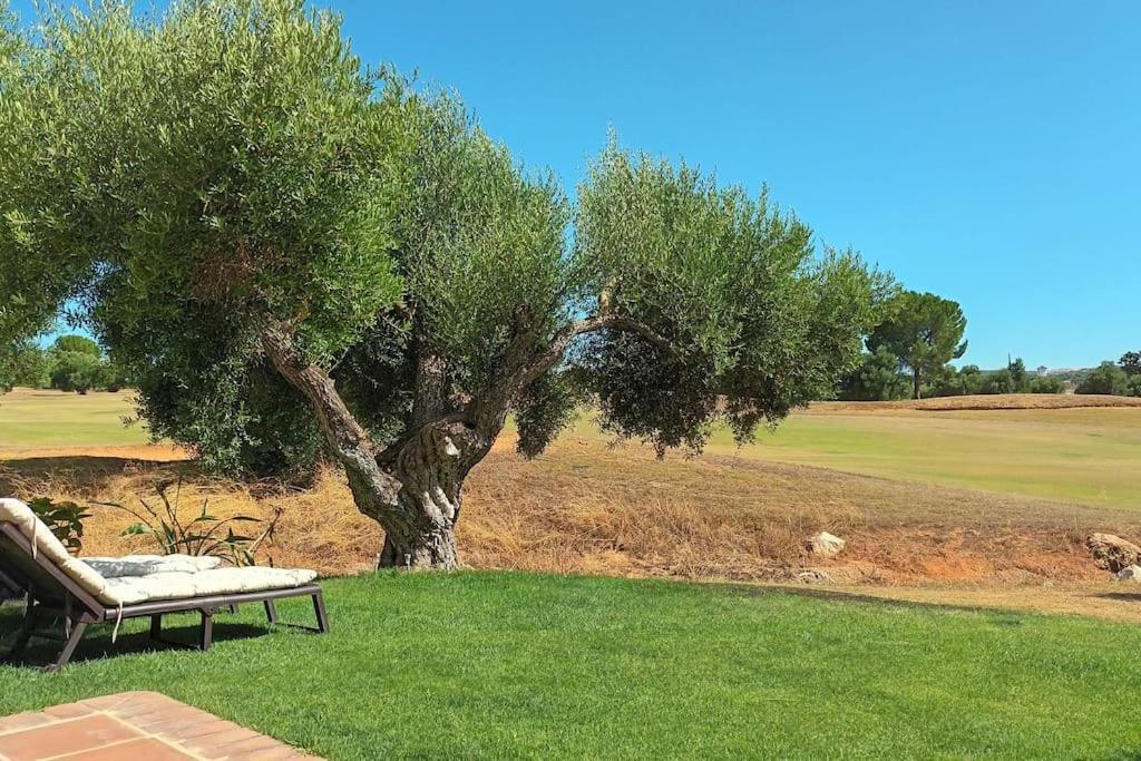 Casa Los Olivos Arcos de la Frontera Eksteriør billede