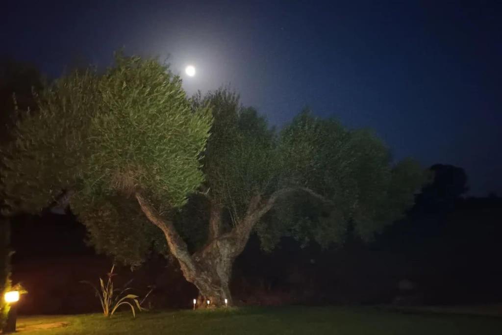 Casa Los Olivos Arcos de la Frontera Eksteriør billede