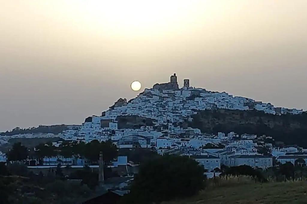 Casa Los Olivos Arcos de la Frontera Eksteriør billede