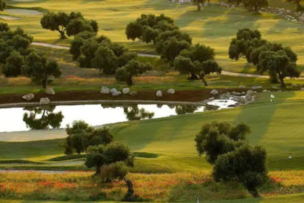 Casa Los Olivos Arcos de la Frontera Eksteriør billede